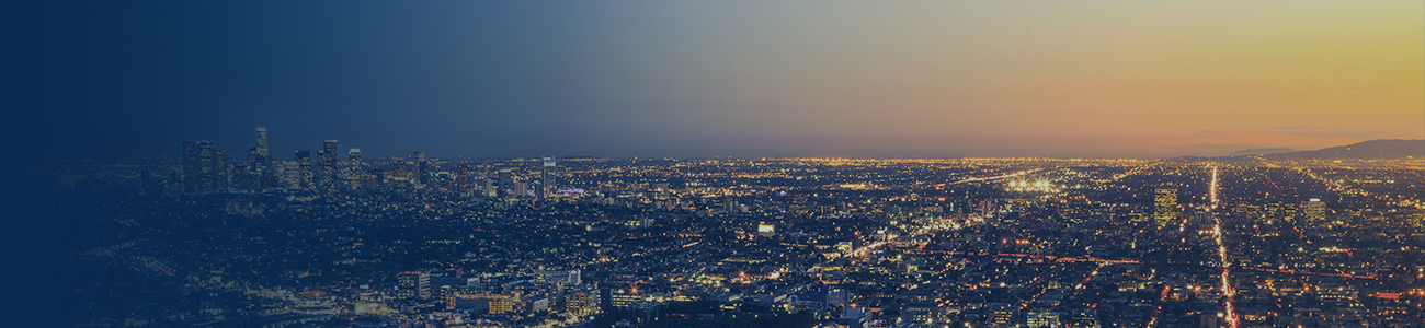 Los Angeles Skyline Cityscape
