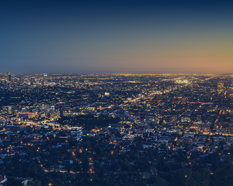 Los Angeles Skyline Cityscape